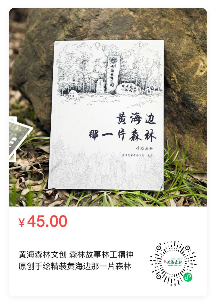 1手绘画册.jpg